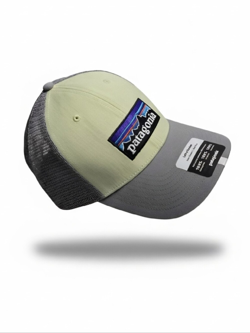 Patagonia P-6 LoPro Trucker Hat